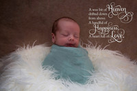 Newborn