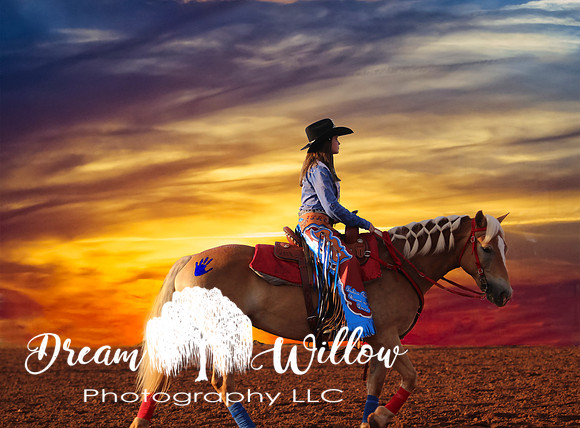"Lone Rider". Featured in the Oklahoma Contemporary Art Museum 3-13 May 2018